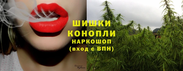 бошки Алзамай