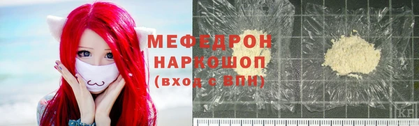 СК Алексин