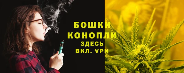 бошки Алзамай