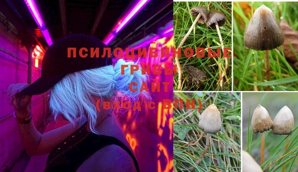 бошки Алзамай