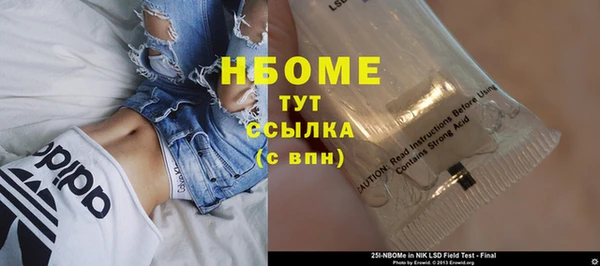 СК Алексин