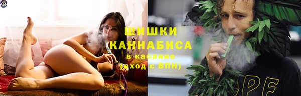 СК Алексин