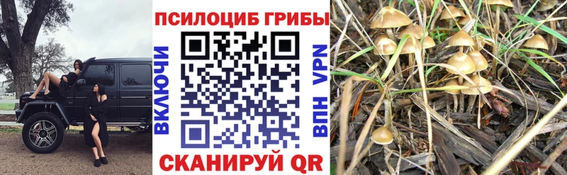 МЕГА сайт Мураши Псилоцибиновые грибы мухоморы